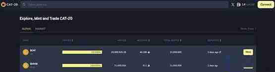 Fractal Bitcoin重燃BTC生态热度 CAT20价值几何？